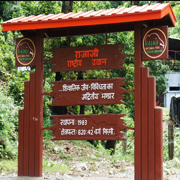 Jungle Safari in Rishikesh